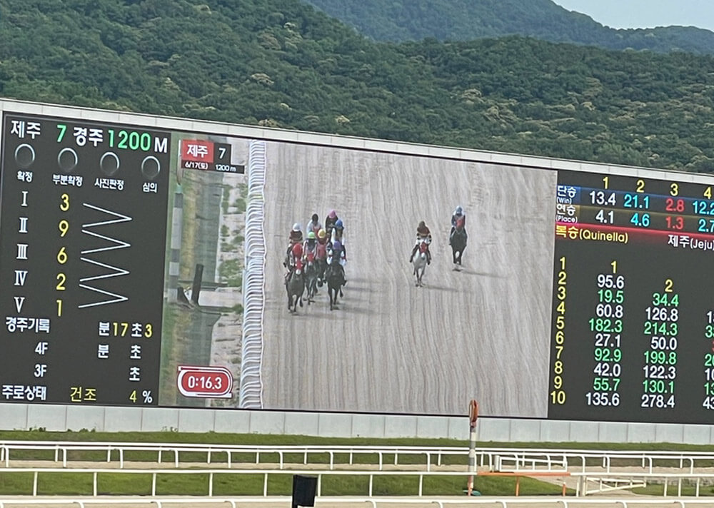 레츠런파크 경마장 구경